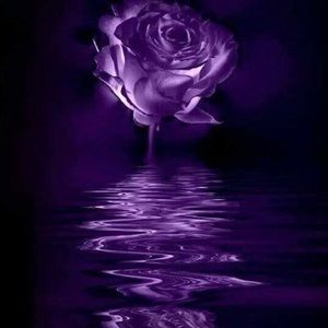 Meet your Posher, Angela-morgan